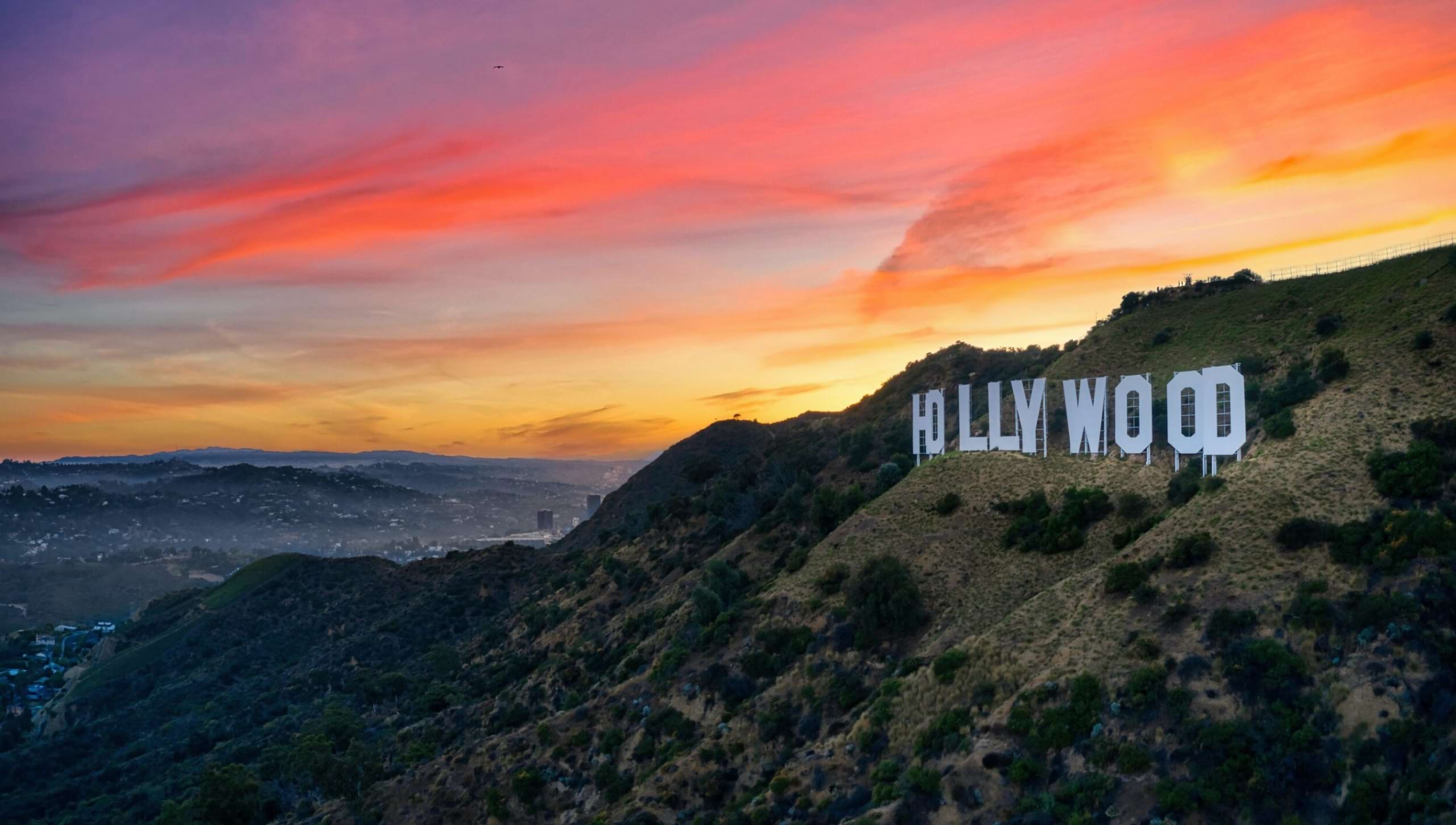 Hollywood rentals